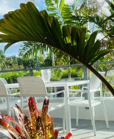 Belmore Palms ~ 2 Min to Surfie, Village & Beach - Image 4