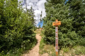94 Ryan Gulch Road - Image 5