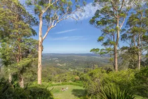 Montville Retreat With Hinterland & Coastal Views - Image 3