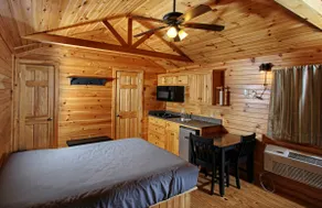 Peaceful Studio Cabin 45 - Image 5