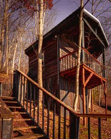 Glamping Cabin | Huge Window | Tree House Feel - Image 3