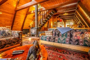 Cinnamon Bear-A-Frame w/ AC! - Image 2