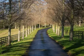 Stunning Stables Cottage in East Lothian Country Estate - Image 2