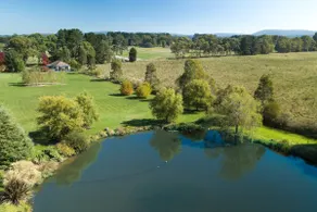 Alderwood Cottage - Heart of The Highlands - Image 4