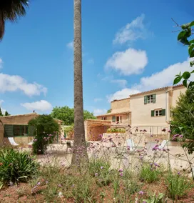 Sa Sinia - Finca en el corazón de la Tramuntana - Image 4