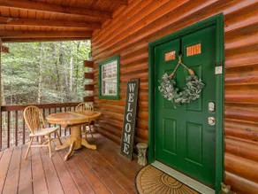 Lazy Bear Cove - Blue Ridge, GA - Image 3