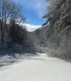 Cooler Temps Better Memories 3br3ba Wviews Game T - Image 2