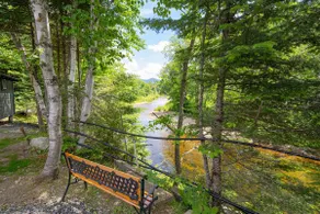 Renovated Cabin On River|Bretton Woods| Mt. Washington|Fishing+Hiking| Fire pit| - Image 4