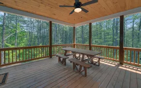 Blue Heaven, Family vacation near Ocoee River, McCaysville, and Blue Ridge Area - Image 3