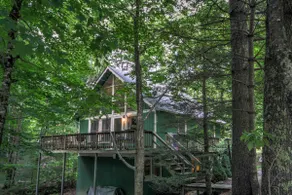 4 Zi-Chalet, Zugang zum Beech Mountain Club, Hanglage, Feuerstelle, Maisloch, Grill - Image 3