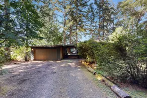 Unique lakefront cabin near the dunes with a priva - Image 3
