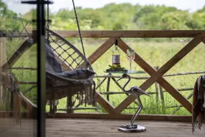 Meadow Hide - HOT TUB, Chichester - Image 3