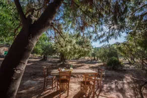 Casina ai Fraginesi - Image 4