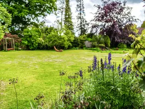 Moorlands - Image 3