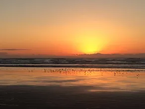 Moclips Sand Dollar Beach House - Beautiful Beach - Image 2