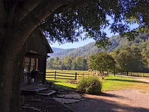 Bunk House: Nearby Horses, Hot Tub, Pet-Friendly - Image 4