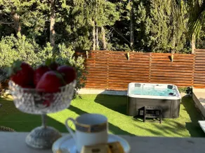 Delux with private pool - Image 2