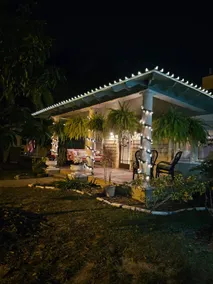 Dixieland Delight - Image 2