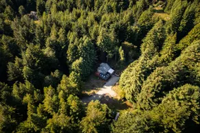 Nature Haven Retreat- Redwood Seclusion & Hot tub! - Image 3