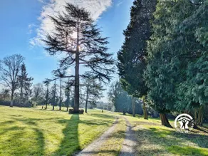 Gite Ahuillé, 5 bedrooms, 12 people. - Image 4