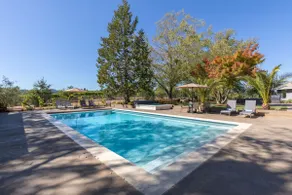 Luxurious Retreat In The Vineyards  Green Valley Oasis - Image 3