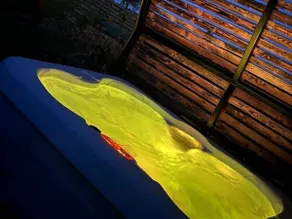 Peacock Lake Glamping - Image 3