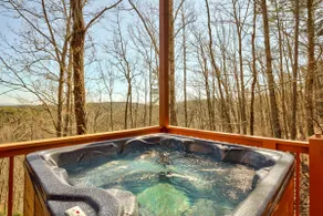 'Owl's Nest' Pet-Friendly Cabin w/ Private Hot Tub - Image 2