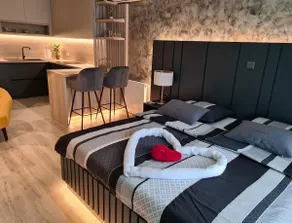 Attraente appartamento con sauna e terrazza - Image 3