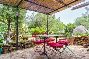 House in olive grove 3 km from the coast - Image 4