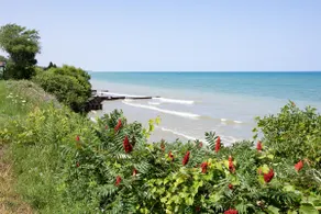 Private Beach, Bonfire, New Blackstone Grill - Image 3