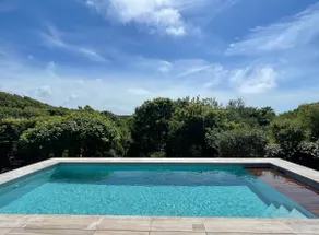 Beautiful house with pool & jacuzzi in the dunes - Image 3