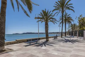 Casa Loreto - Hidden gem in the port of - Image 5