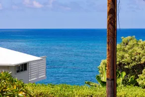 Hale Pulelehua, Butterfly House: Incredible Modern - Image 4