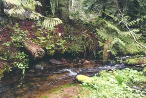Hike & Bike out the Door and Paddle Nearby, Dog-Friendly, BBQ - Image 3