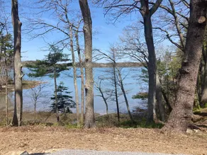 Luxury Waterfront Tiny House - Image 2