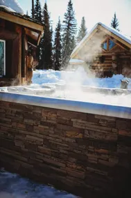 Puffin Treehouse, Hot Tub, Rope Bridge - Image 3