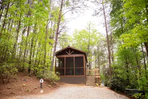 Serenity Ridge Cabin F: Couple's Vacay + Hot Tub - Image 3