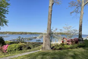 Waterfront River Cottage for 2, dog-friendly - Image 5