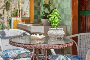 An oasis by the sea - Image 2