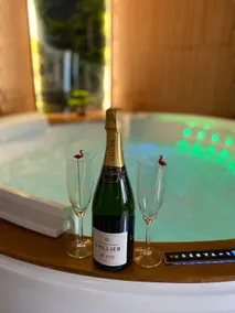 Esprit BALI ....LOVE SPA, Luxury Sauna in Mulhouse - Image 2