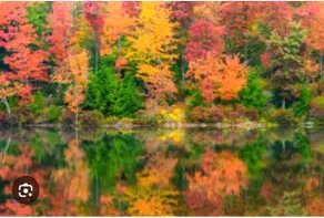 New Ski/Lake house for all seasons- Minutes to all - Image 2