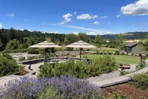 Picturesque Retreat On 80 Acres of Organic Farmland, Farm Animals Galore In Middle of Wine Country - Image 3