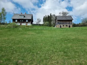 Zankl - Image 4