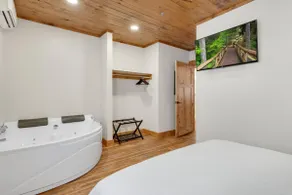 Jacuzzi, Fireplace, King Bed & Hardwood - Hickory - Image 3