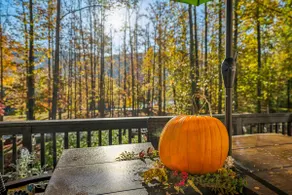 Herons Rest -riverfront, fire pit, wifi, deck - Image 5