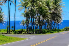 Moana Imaku - Ocean View Home w/ ADA Features - Image 4