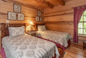 Gorgeous Cabin w/ Wi-Fi + Hot Tub - Image 3
