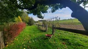 Gîte Les Sittelles - Image 3