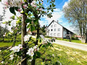 Ellenweiler vacation home for up to 10 people - Image 3