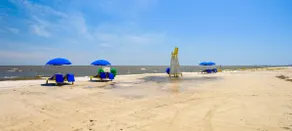 Cozy Beach House, Close to Casino, Shops, & More! - Image 2